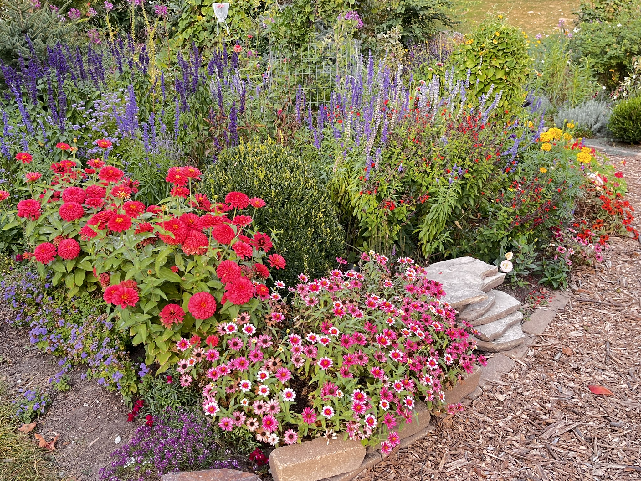 Intimate garden path through lush plantings