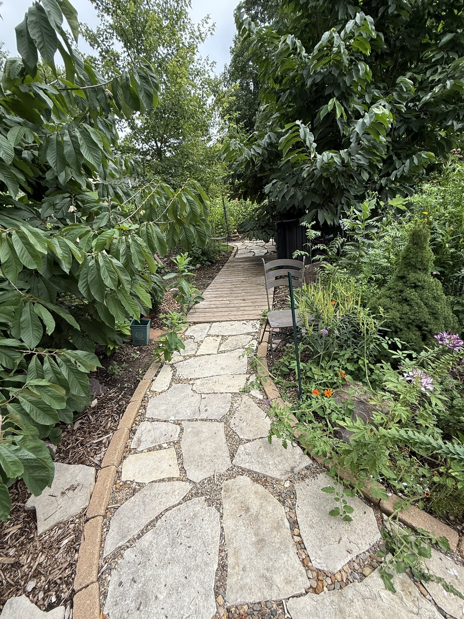 Established garden bed with mature perennials