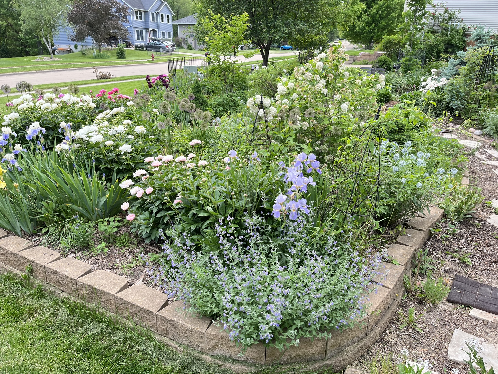Marigolds and colorful summer blooms